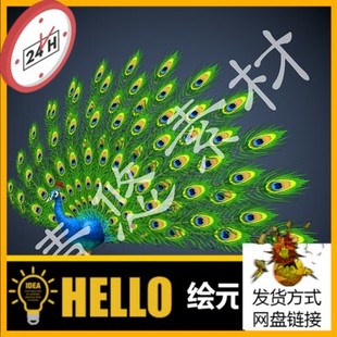 3dmax c4d孔雀3D模型大鸟动物骨骼绑定带动画孔雀开屏羽毛翅膀fbx