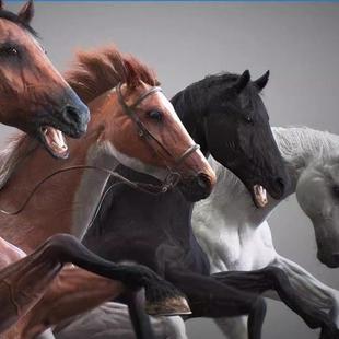MAYA文件写实逼真枣红马匹骏马含骨骼绑定动画VARY渲染动作3D模型