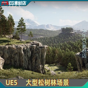 UE虚幻5影视真实岩石地形岩石悬崖石头森林山体杉树林场景