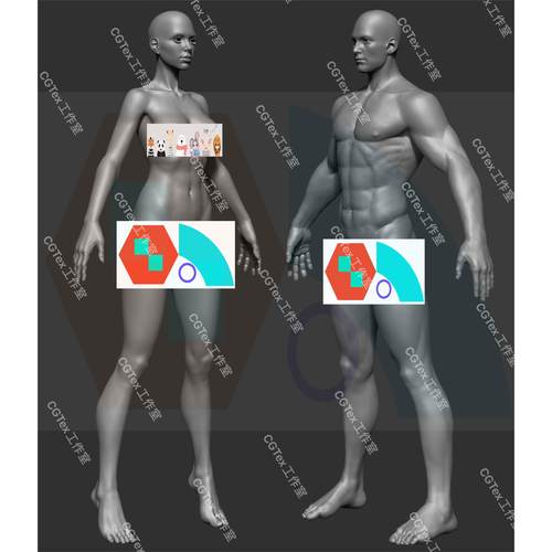 Zbrush男女角色人物基础3D模型Zb雕刻健美素体模型个人作品高模型
