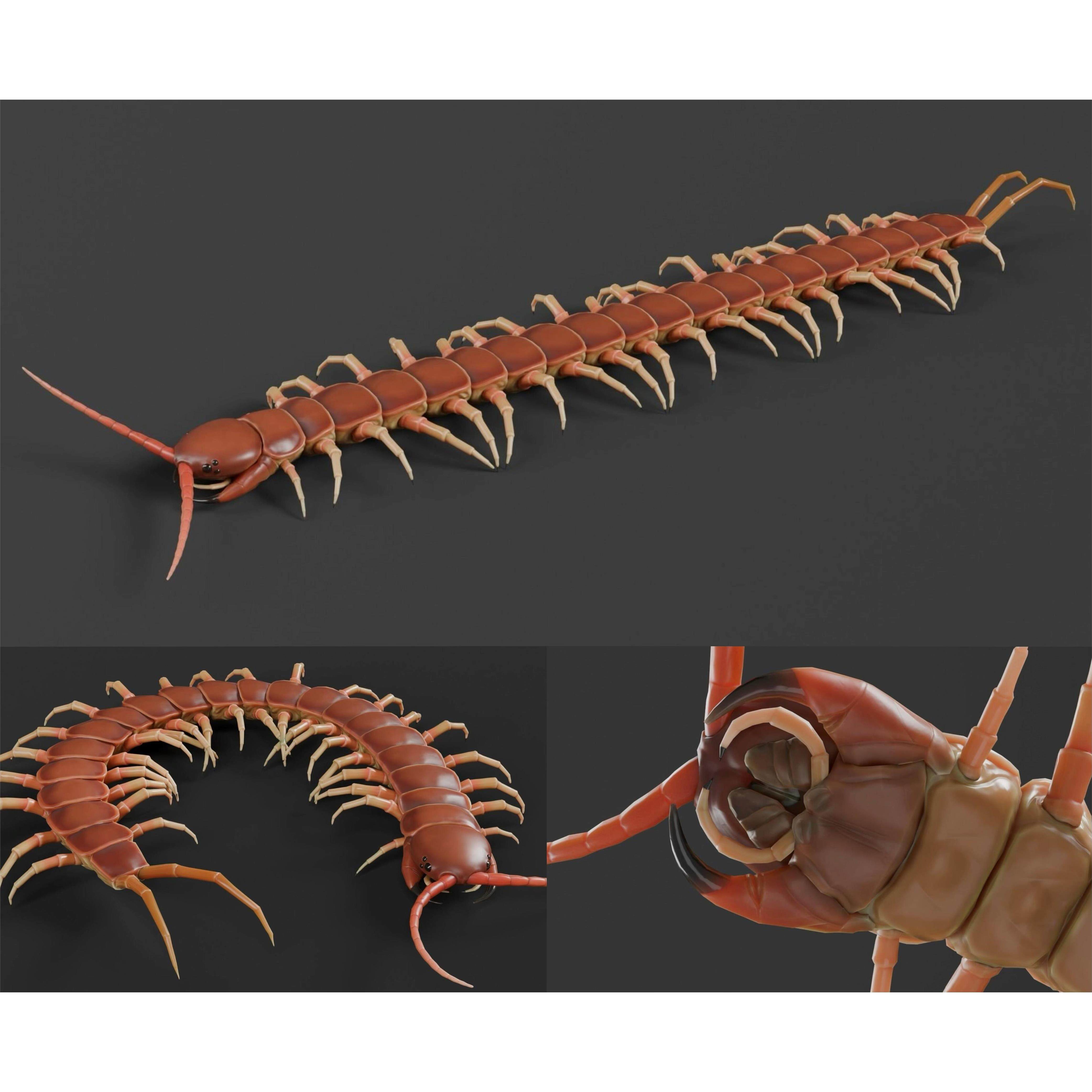 Blender Maya风格化卡通蜈蚣3D模型骨骼绑定含贴图OBJ STL可打印