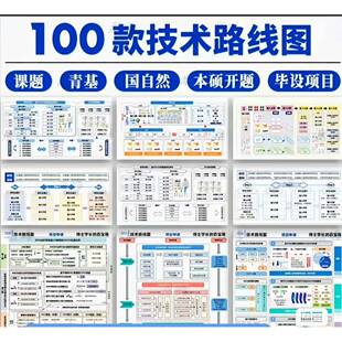100款技术路线图模板课题/青基/国自然申报模板本硕开题报告模板