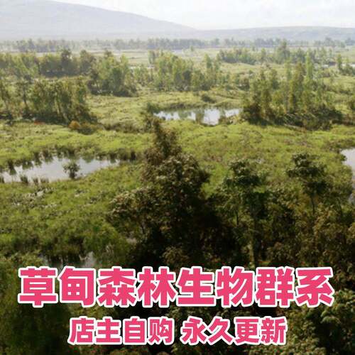 UE5虚幻5 MW Meadow Forest Trees Biome 草甸森林树木生物群系