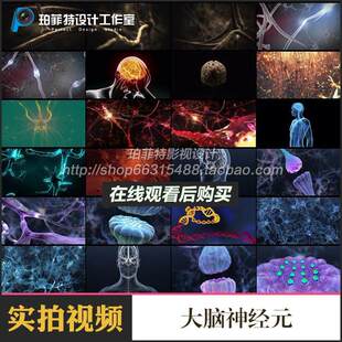大脑神经元生物细胞人体感觉运动性系统突起传导兴奋动画视频素材