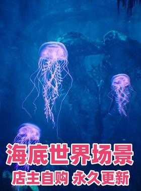 Unity3D Underwater World / 70 Assets 海底世界海洋生物场景