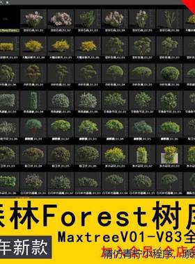 森林-Forest 树库 -Maxtree (V01 -V83) 全套 3DMax模型库