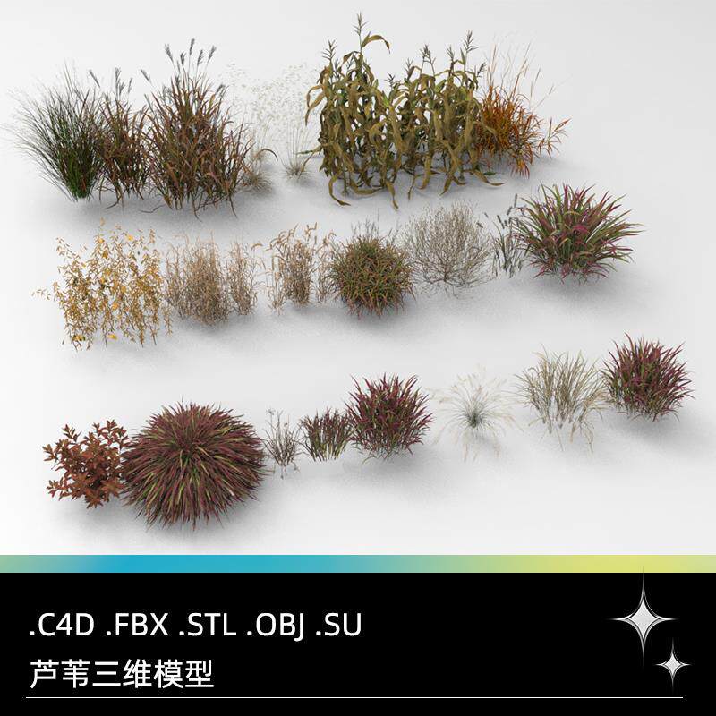 C4D FBX STL OBJ SU Blender芦苇枯草灌木蒲苇植物草丛三维3D模型