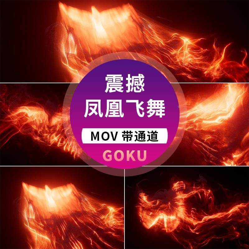 1款大气震撼火焰凤凰飞舞动画mov透明通道Ae视频Pr素材