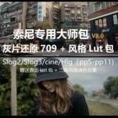 Sony索尼灰片还原709转换LUT预设剪映PR达芬奇HLG 调色素材