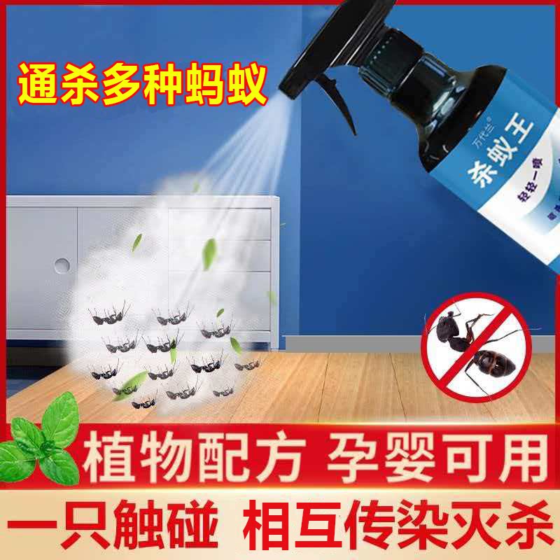 万代兰蚂蚁药灭蚂蚁杀蚂蚁