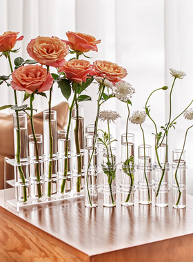 洋牡丹一排花瓶试管摆件客厅插花玻璃透明水培鲜花ins风高级感小