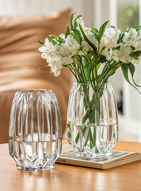 花瓶摆件客厅插花轻奢高级感餐桌宽口ins风透明玻璃水养鲜花专用