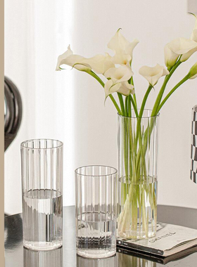 亚克力花瓶摆件客厅插花玻璃透明防摔ins高级感塑料郁金香水养小