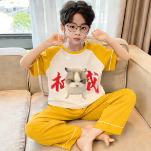 男童睡衣春夏季短袖长裤纯棉男孩全棉搞怪权威猫中大童空调家居服