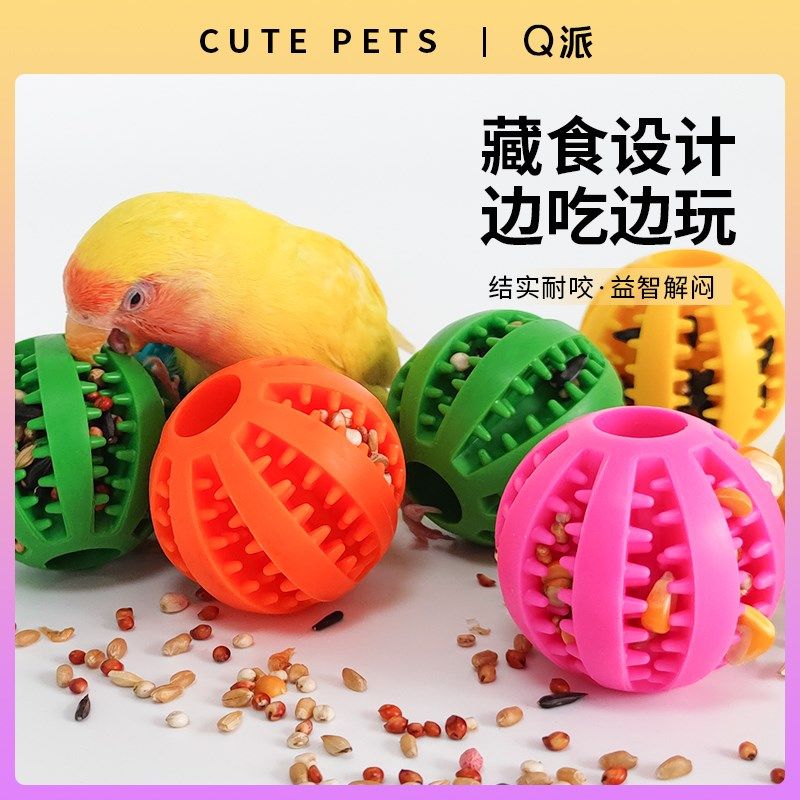 速发鹦鹉觅食玩具啃咬球磨嘴具闷用品玄凤牡丹虎皮专用用鸟解装饰,宠物/宠物食品及用品,鸟玩具,淘宝优惠券,粉丝福利购,淘宝优惠卷