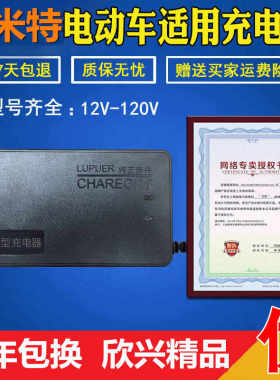 速发斯米特电动车适用24V48V12AH6HV64V72V84V6V00A2通用