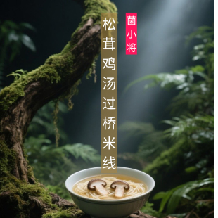 菌小将云南松茸鸡汤过桥米线孕妇无添加米粉旅游野生菌速食鲜米线