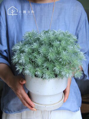 朝霧 相关商品 价格 图片 优惠券 朝霧相关淘宝天猫折扣查询 5 淘优券