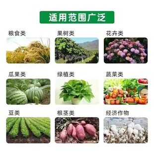 嘉施利根动力45%15-15-15硝硫基硫酸钾加锌含硼果树蔬菜复合肥料