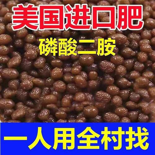 美国进口二铵优质磷酸二
