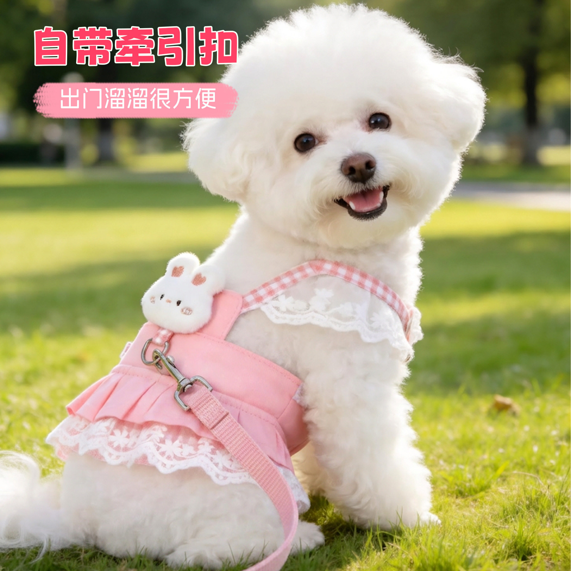 宠物狗狗衣服公主裙子小