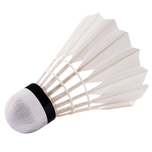 【马迪克】优质鹅毛拉直稳定耐打羽毛球12只装训练比赛用球