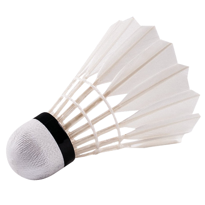 马迪克稳定耐打12只装