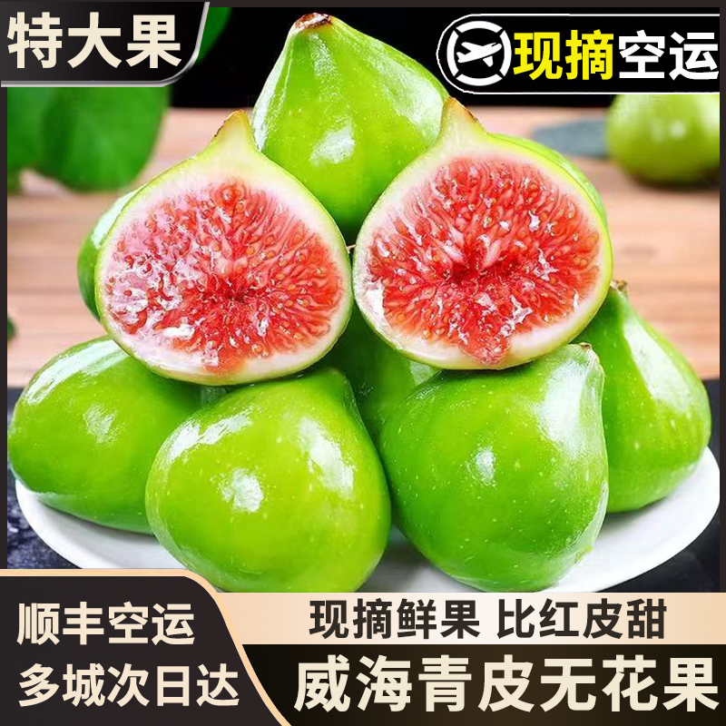 青皮无花果鲜果新鲜3斤当季现摘