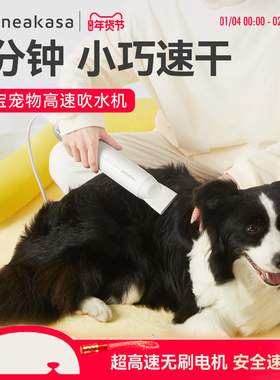 宜宝宠物吹水机狗狗吹风机高速大功率静音大型犬猫咪专用烘干吹毛