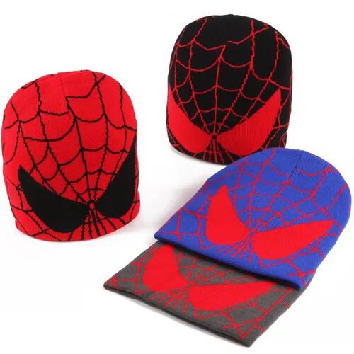 New Cartoon Spider Embroidered Beanies Hat Men Winter Autunm
