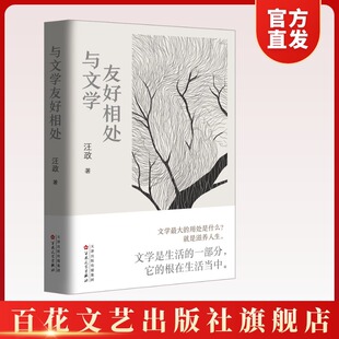 【官方直发 顺丰包邮 送货上门】与文学友好相处 文学最大的用处,是滋养人生 文学理论 文学批评 现当代文学 著者:汪政
