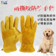 宠物牛皮防咬手套防蜂小型犬仓鼠耐磨防护防猫抓狗咬抓蛇鹦鹉 包邮