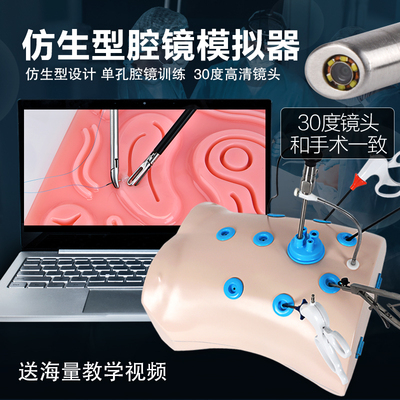 腹腔镜手术模拟训练器械胸腔镜训练箱外科妇产科宫腔镜仿生单孔箱