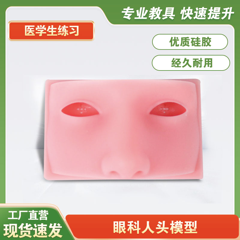 眼科人头模型 显微操作 动物眼教学仪器/实验器材