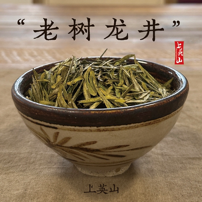 上英山 · 春天绿茶系列，老树龙井茶