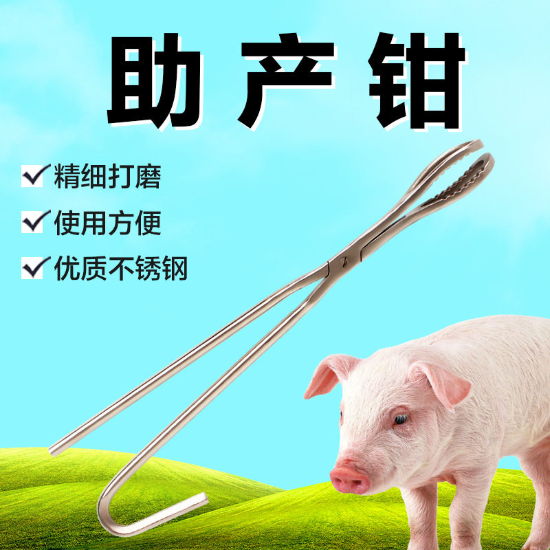 创普兽用助产器械不锈钢助产夹 小猪牛羊用助产 猪钳助产工具