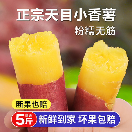 正宗天目山小香薯手指薯3斤5斤新鲜现挖临安板栗红薯富硒地瓜番薯