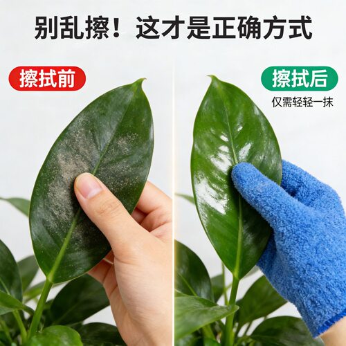 擦叶片手套工具清洁光亮抹灰蔓绿