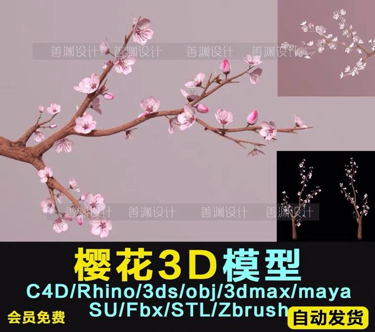 高清樱花树模型3D模型C4D/犀牛/OBJ/3ds/maya/FBX/SU/Zbrush/STL