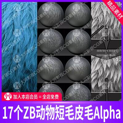 ZBrush动物短毛毛皮alpha笔刷zb动物皮毛发雕刻SP毛发皮毛贴图PSD