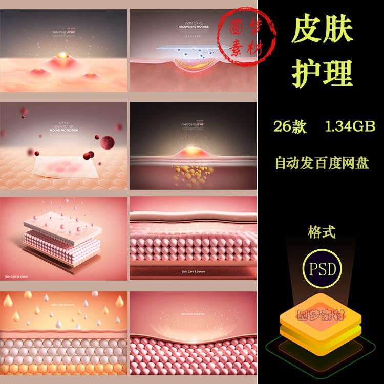 皮肤组织结构保养护肤痘痘美白美容胶原蛋白护理海报PSD分层素材
