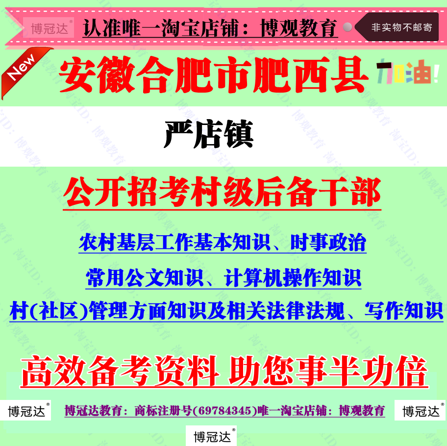 2026年合肥市肥西县严店镇招聘村级后备干部考试计算机公文写作题 - 实物图