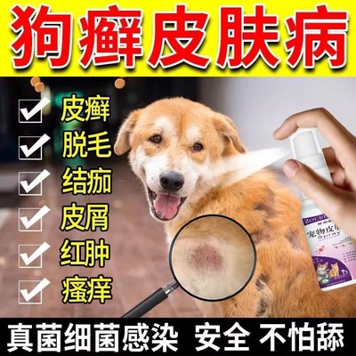 狗狗皮肤病外用喷剂治疗狗癣真菌