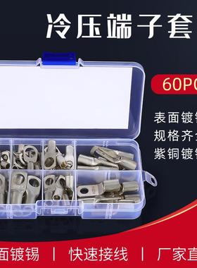 60pcs银色窥口端子 铜接线冷压端子 SC系列端子套装 盒装裸铜端子