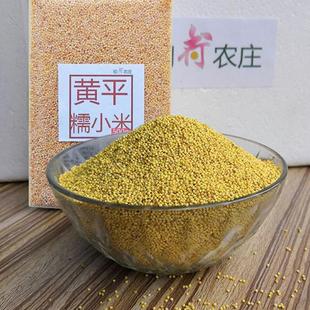 贵州黄平糯小米500g特产五谷杂粮农户种植熬粥软糯甜初荷农庄食品