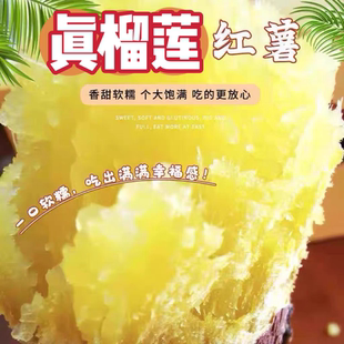 新鲜现挖榴莲蜜薯正宗玛莎莉红薯红瑶糖心烤地瓜超甜黄心板栗番薯