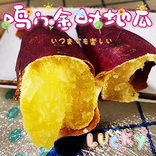 正宗日本品种名门金时鸣门金时烤沙粉甜红瑶玛莎莉红薯香地瓜送礼