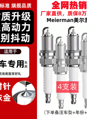 适配斯威X7 X2 X3G01 G01F G05 PRO钢铁侠比速T3T5M3双铱金火花塞