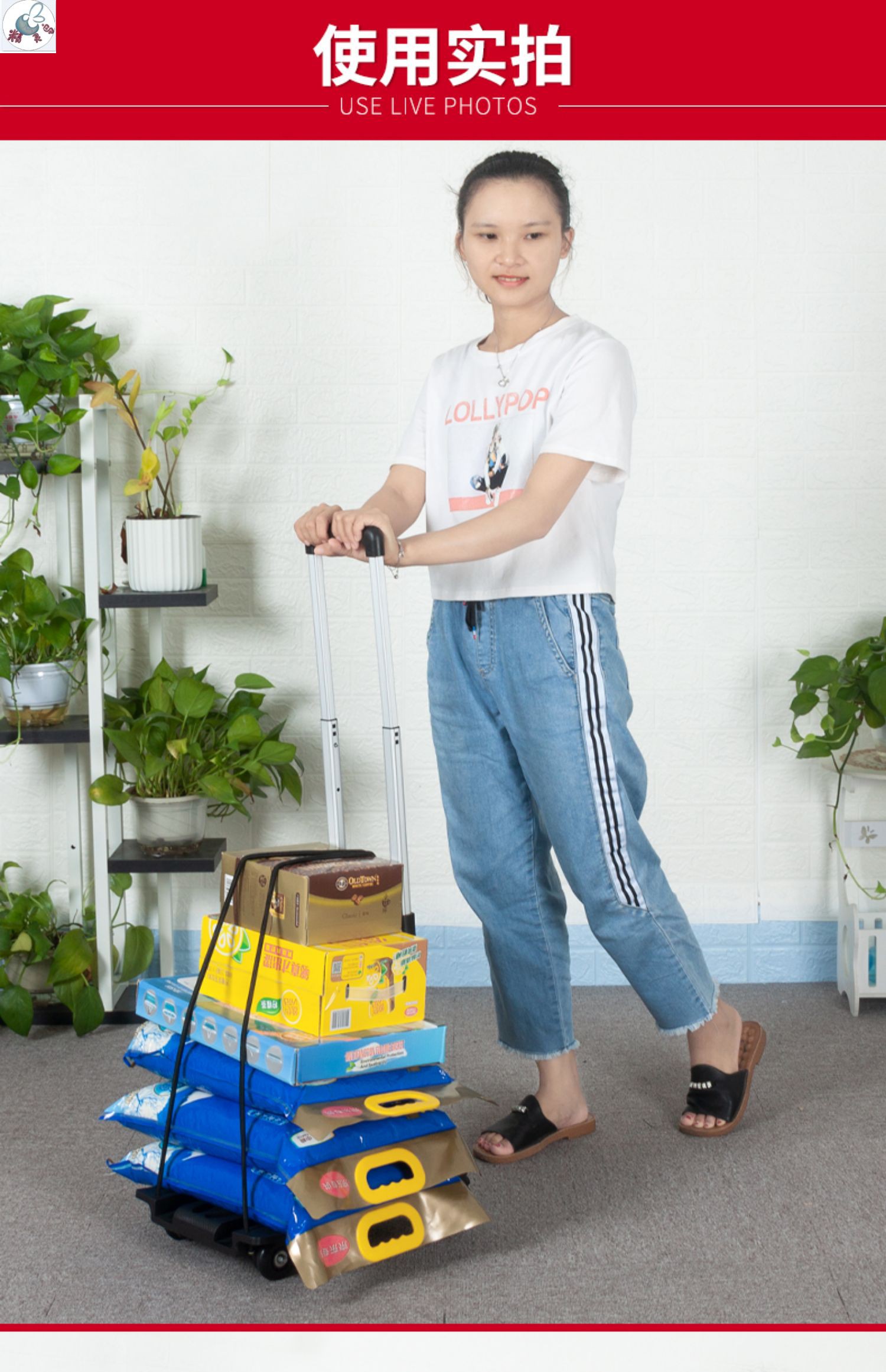 迷你轻便户外书包小拖车买菜购