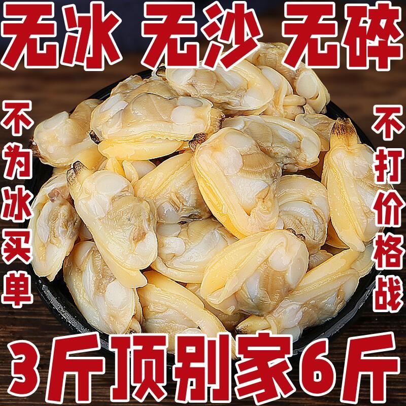 新鲜特大花蛤肉干冷冻无沙蛤蜊肉鲜活即食花甲肉蚬子肉无冰衣商用